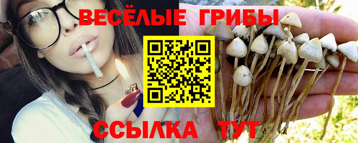 Псилоцибиновые грибы Psilocybe  Вход с VPN  Бугульма  Псилоцибиновые грибы Magic Shrooms 